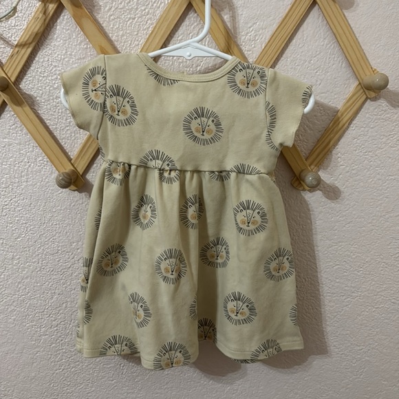 Quincy Mae | SHORT SLEEVE LIONS DRESS - Picture 6 of 6